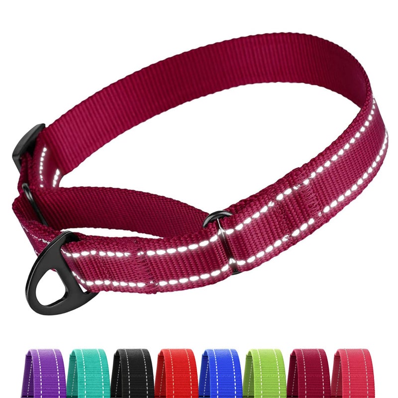 CollarDirect Reflective Martingale Dog Collar Nylon Heavy Duty Training Pet Collars for Small Medium Large Dogs Puppy Black Blue Mint Green Red Pink Purple Dark Red (S, Neck Size 11"-15", Dark Red) - Image 1